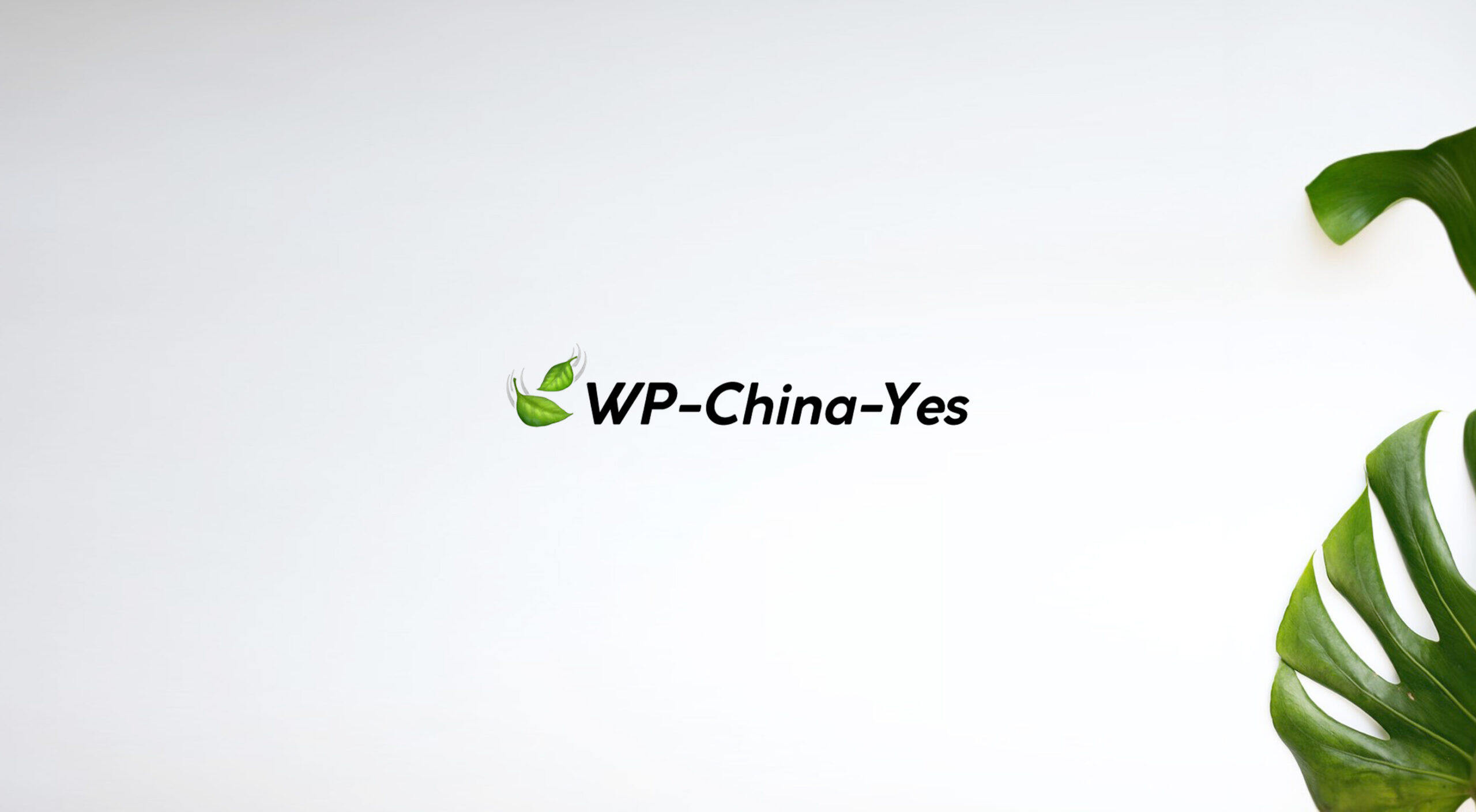 WP-China-Yes.com 官网上线